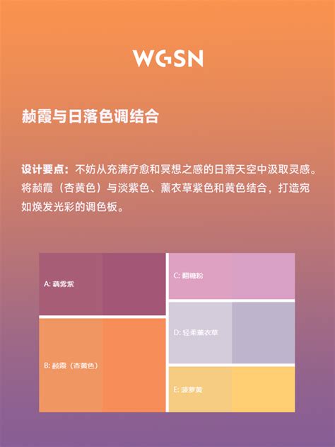 WGSN 2024年度色彩：赪霞|界面新闻 · JMedia 
