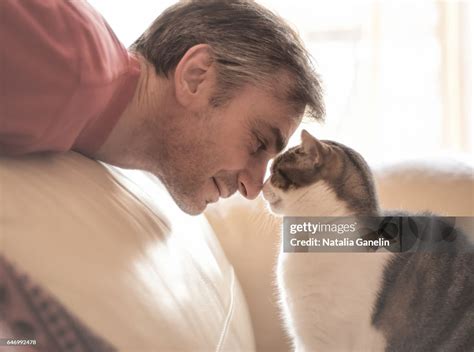 Man And His Cat Together Face To Face High-Res Stock Photo - Getty Images