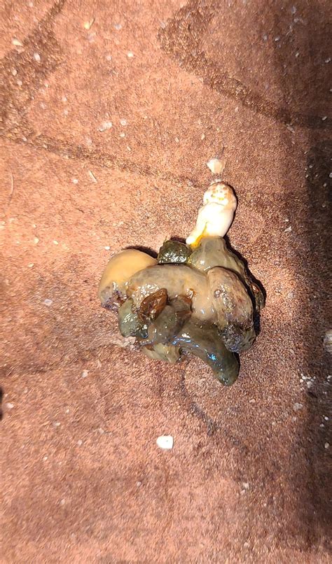 Is something wrong here? It is the first time it's looked like this