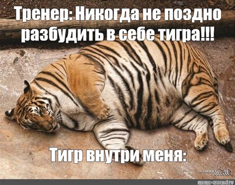Meme: "Тренер: Никогда не поздно разбудить в себе тигра!!! Тигр внутри ...