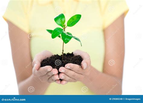 born stock photo image  human born growing