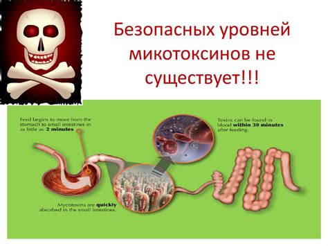 Микотоксины в ветеринарной микологии. Выявление и профилактика группы ...