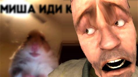 хомяк и миша знакомятся 🥰 - YouTube
