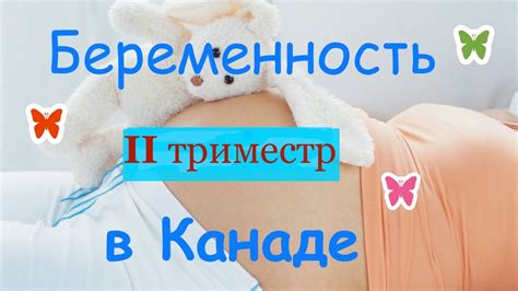 Беременность в Канаде, 2 триместр - YouTube