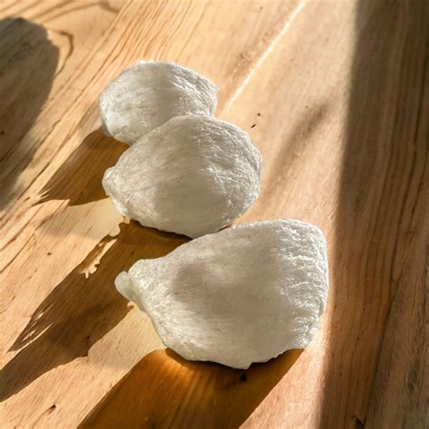 Swallow Bird's Nest / swallow's nest / bird's nest/ bird's nest