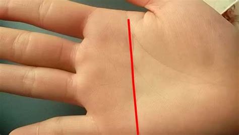 Simian Line, Head Line and Heart Line Overlap/Meat/Joint