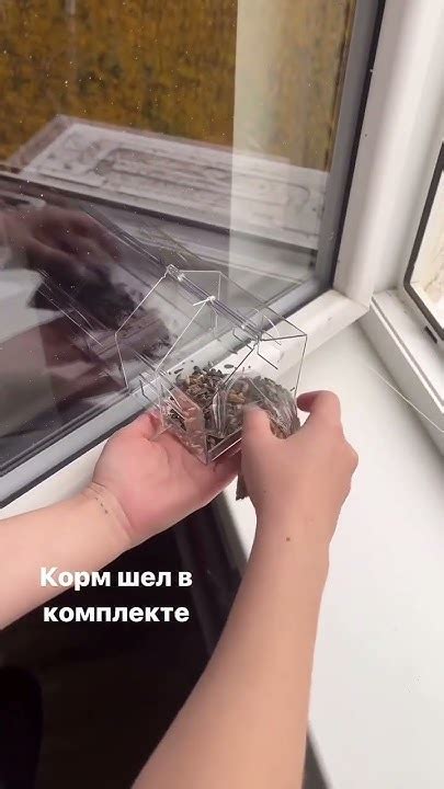 Кормушка на окно с Вайлдберриз #shorts - YouTube