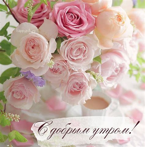 С добрым утром! | Красивые цветы, Цветочные контейнеры, Доброе утро