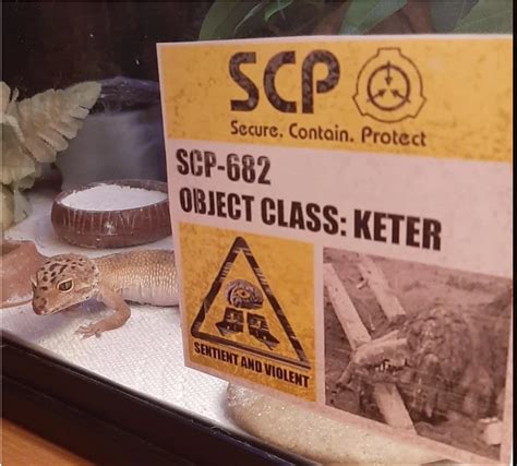 SCP 682 irl by GrandMiJay on DeviantArt