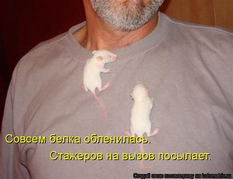 Крысы 1-20