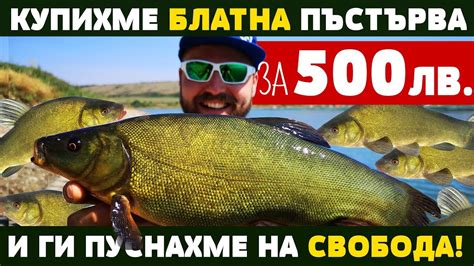 Купихме РЯДЪК ВИД РИБА за 500 ЛЕВА и ги пуснахме на свобода ...