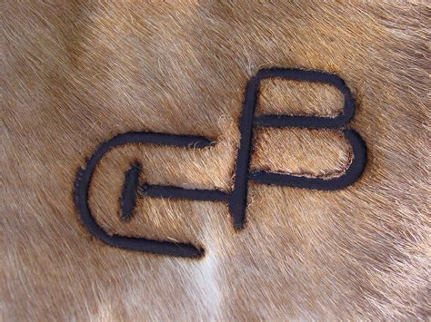 Branding Iron Logo Ideas : Whether your business is offline or online ...