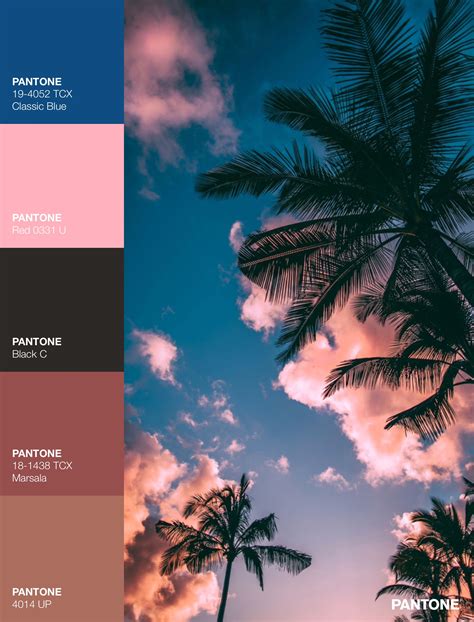 Palettes / Color : No. 11