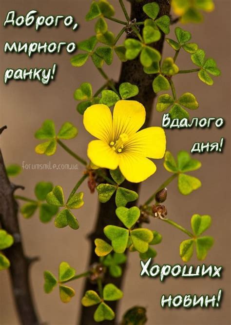 Доброго ранку, вдалого дня і хороших новин!