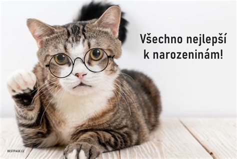 Přání k narozeninám text, obrázky. Přání pro muže i ženu