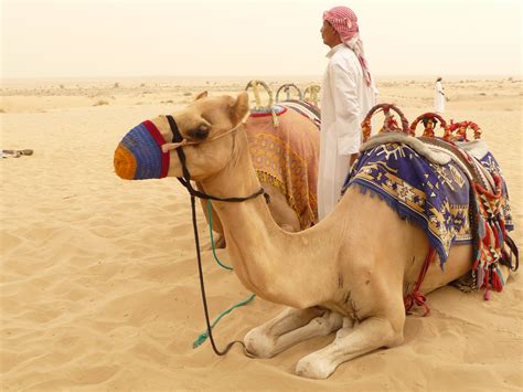 Six Creative Principles from the Dubai Desert