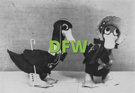 dfw meaning slangorg