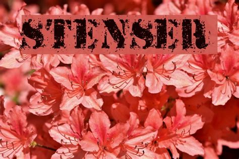 StensEr Font - FFonts.net