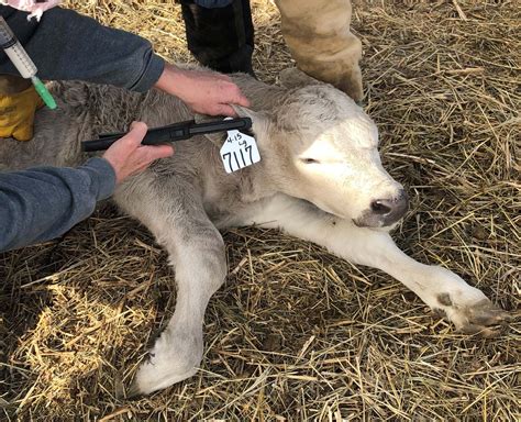 Food Security Depends on Protecting the People of our Food System