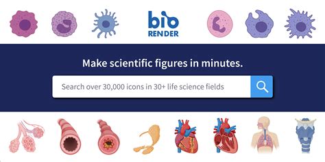 BioRender | Life Science Icons