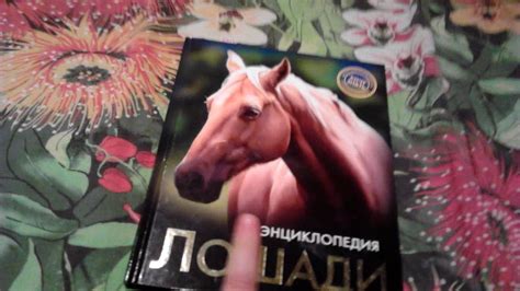 Моя книга про лошадей #2 - YouTube