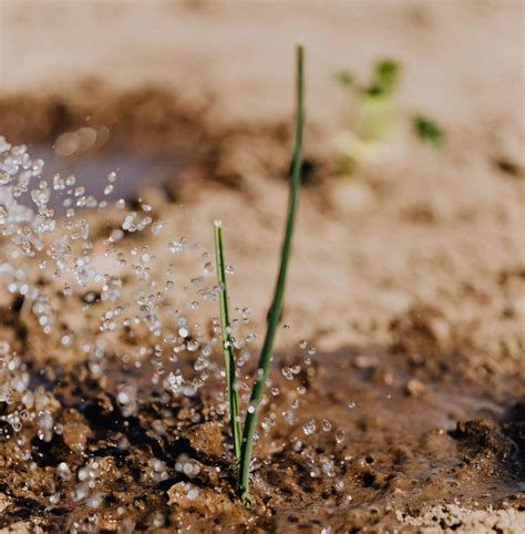 come funziona un impianto di irrigazione | Comeconservare.it