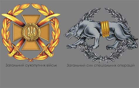Новая униформа и знаки различия ВСУ – полное портфолио