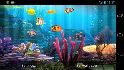 Fish Swimming Live Wallpaper - WallpaperSafari