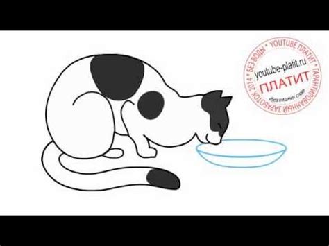 Как нарисовать кошку пьющую молоко - YouTube