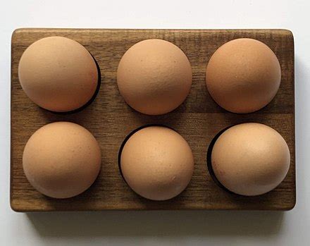 Egg - Wikipedia