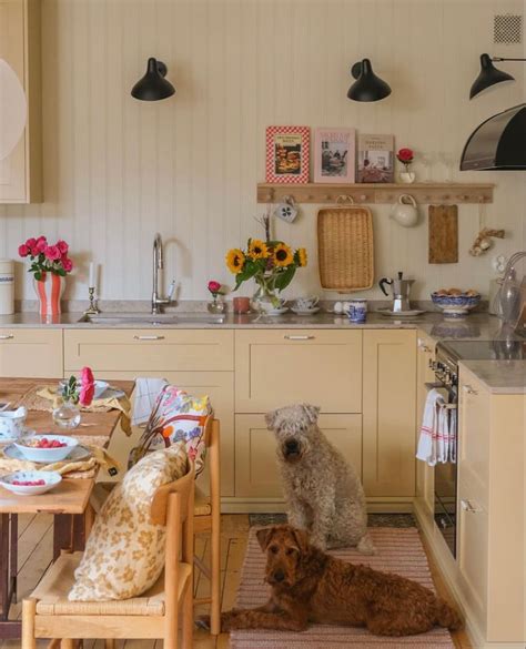 Cottage core homey kitchen | Homey kitchen, Budget friendly decor ...