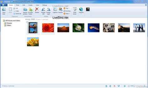 Windows and Android Free Downloads : windows live photo gallery windows ...