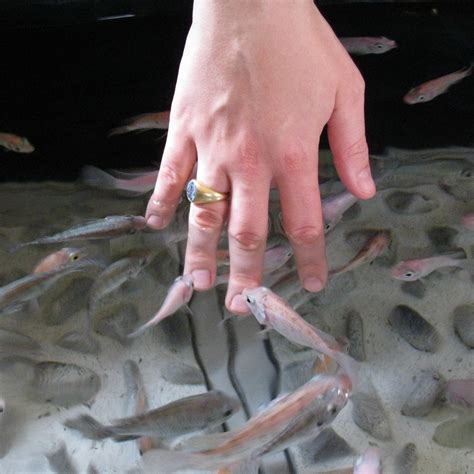 Fish Kisses | AHLN | Flickr