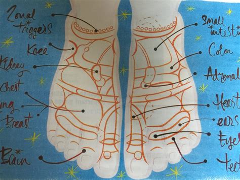 Research and Articles – Vertical Reflexology