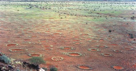Termites, not a God, Created Africa’s Fairy Circles - New Historian