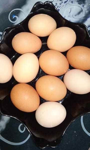 Продаются домашние свежие куриные яйца 90 р. десяток,от 30 шт.доставка ...