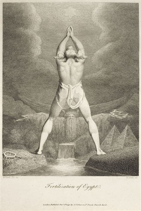 Lot 433 - Darwin (Erasmus). The Botanic Garden, 2