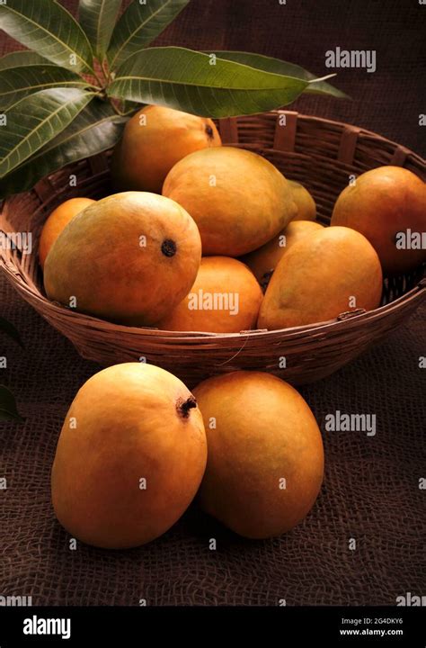 mango fruits  wooden basket  leaf  harvest  farm mango
