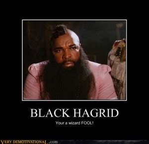 Hagrid Harry Potter Quotes. QuotesGram