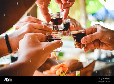 Alcohol Shots Cheers