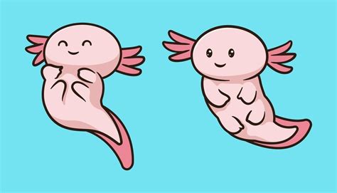 Аксолотль рисунок для срисовки - фото и картинки abrakadabra.fun