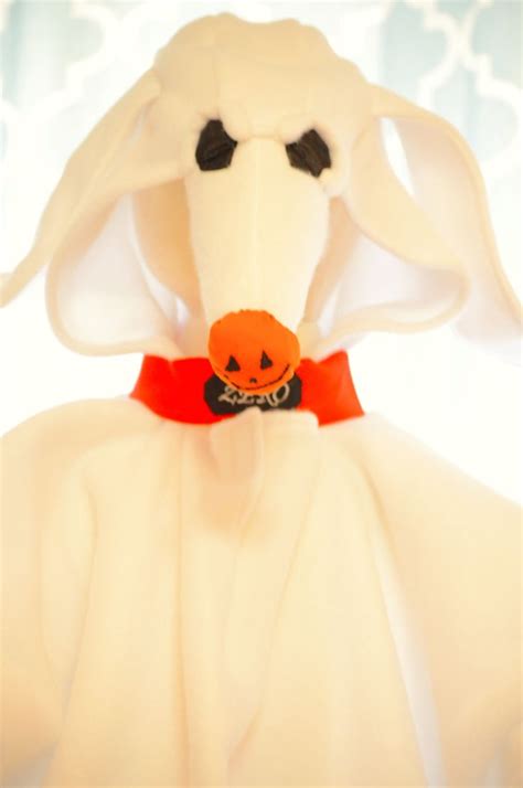 a stuffed animal in a white dress with a pumpkin on it's collar and eyes