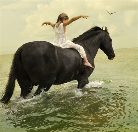 Люди и животные Tom Chambers