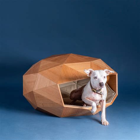 What Is A House Dog