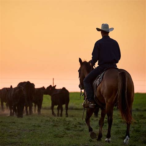 Geschichte der Cowboys | Cowboy-Kultur | Ariat