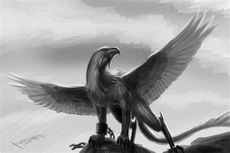 grifon by xfabiow on DeviantArt