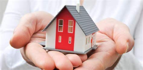 house sitting melbourne fl pet sitter  home pet sitters