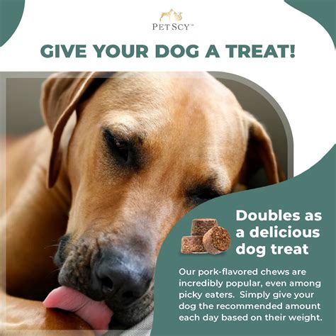 PetScy Dog Itch Relief Chews [5.3 oz] | Allergy Relief for Dogs