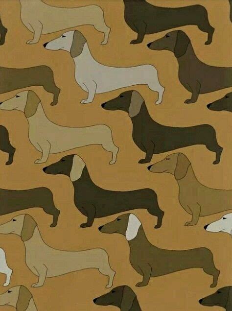 Dachshund | Teckel