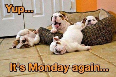 Yup Its Monday Again Pictures, Photos, and Images for Facebook, Tumblr ...